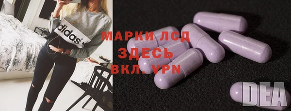 гашик Корсаков