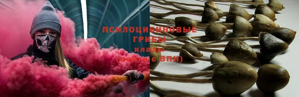 гашик Корсаков