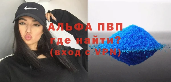 гашик Корсаков