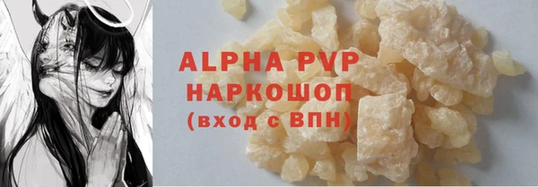 гашик Корсаков