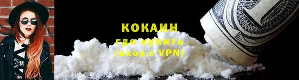 крисы Костерёво