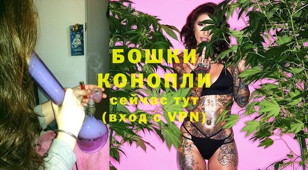 гашик Корсаков
