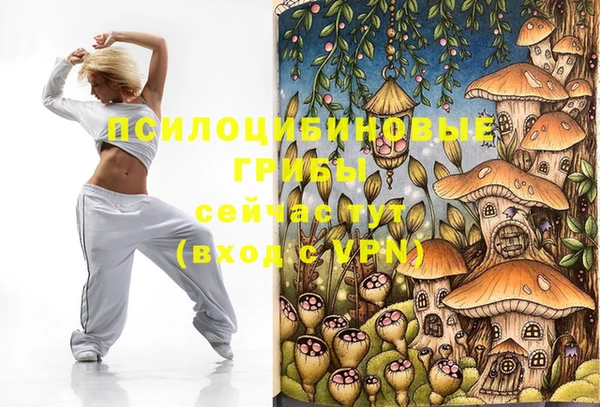 гашик Корсаков