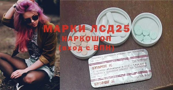 гашик Корсаков