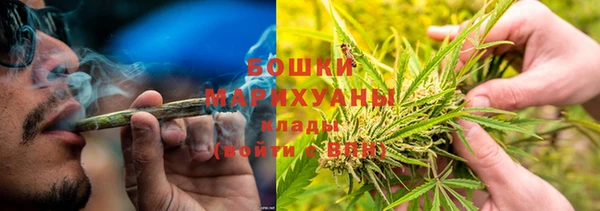 гашик Корсаков