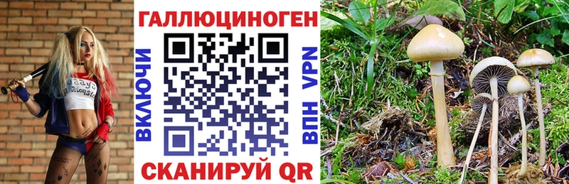 Галлюциногенные грибы прущие грибы Багратионовск