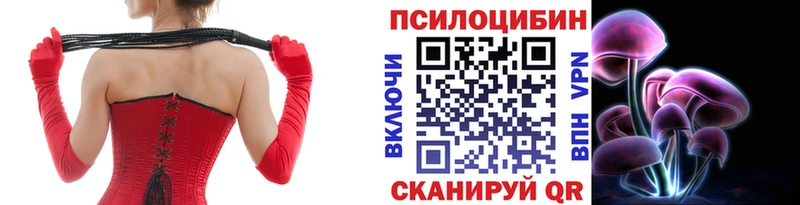 Псилоцибиновые грибы GOLDEN TEACHER  Купить  Багратионовск 